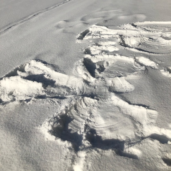 Meet your Posher, Em - Picture 1 of 1